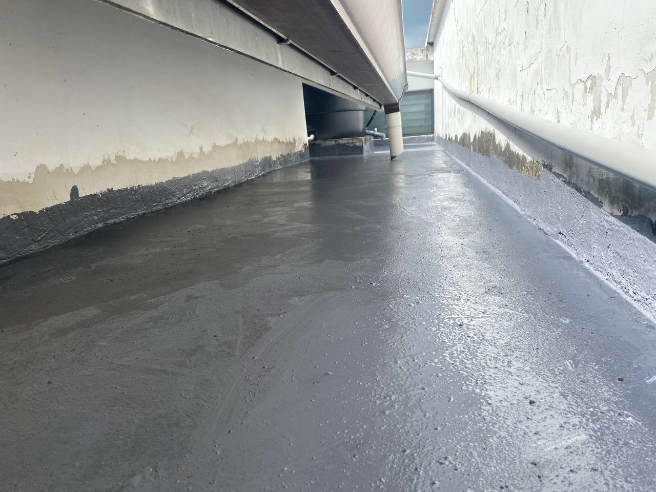 Eko Botani — Roof